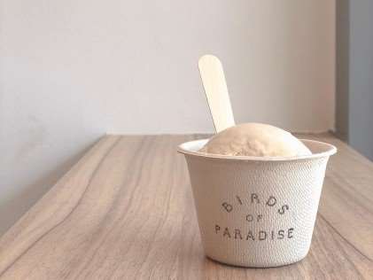 Birds of Paradise - Best Local Ice Cream Cafes