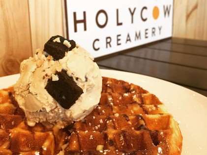 Holy Cow Creamery - Best Local Ice Cream Cafes