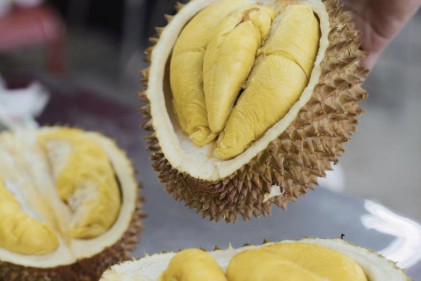 Lexus Durian King - 6 Durian Buffets In Singapore To Feast Like A Musang King