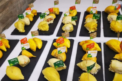 DurianBB - 6 Durian Buffets In Singapore To Feast Like A Musang King