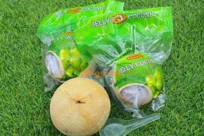 tangerine - 10 Online Grocers to Purchase Fresh Coconut Jelly in Singapore