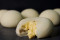 The Durian Bakery - 10 Places to Buy Durian Mochi in Singapore That Are Irresistible To Put Down