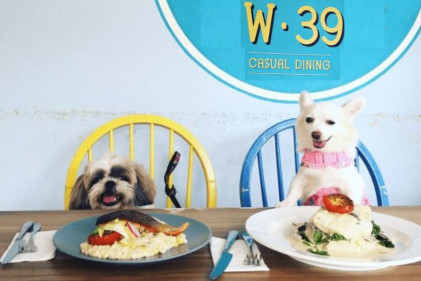 W39 Bistro & Bar - 30 Pet-Friendly Cafes in Singapore to Visit With Your Four-Legge