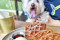 The Brewing Ground - 30 Pet-Friendly Cafes in Singapore to Visit With Your Four-Legge