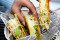 Guzman Y Gomez - 15 Best Tacos in Singapore to Devour