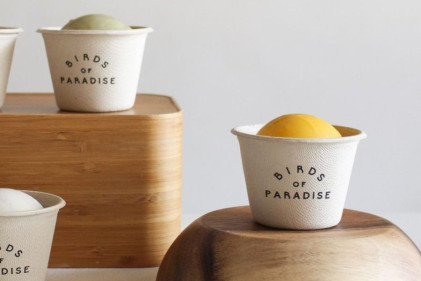 Birds of Paradise - The Ultimate List of Ice Cream Cafes in Singapore