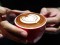 Penny University - Best Coffee Roaster Cafes In Singapore