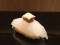 Ginza Sushi Ichi - Best Japanese Omakase Restaurant In Singapore