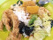 Yong Fa Hainanese Curry Rice - Best Hainanese Curry Rice in Singapore