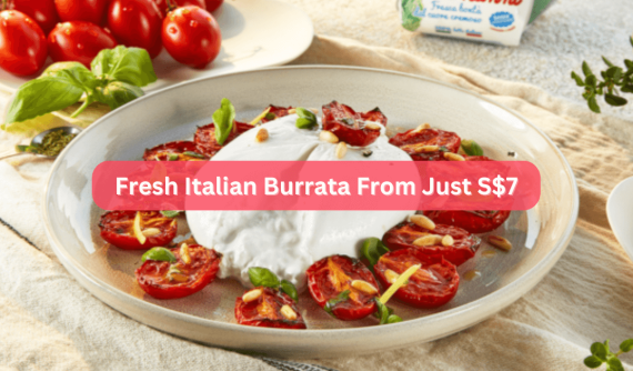 10 Places to Buy Burrata Cheese in Singapore