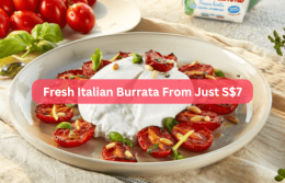 10 Places to Buy Burrata Cheese in Singapore