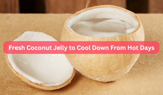 10 Online Grocers to Purchase Fresh Coconut Jelly in Singapore