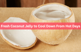 10 Online Grocers to Purchase Fresh Coconut Jelly in Singapore