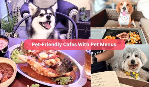 30 Pet-Friendly Cafes in Singapore to Visit With Your Four-Legge