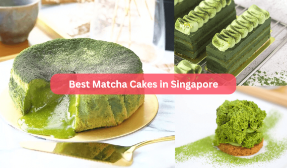 17 Must-Try Matcha Cakes in Singapore