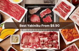 15 Yakiniku Japanese BBQ Restaurants In Singapore You Must Try