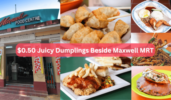 12 Food Stalls In Maxwell Food Centre You Must Try